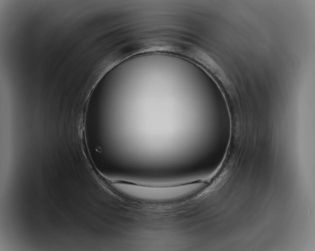 X0000096711377200802191459