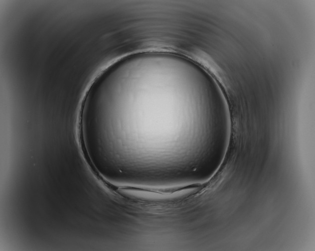 X0000096711379200802191459