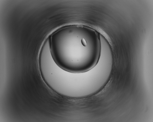 X0000096711380200802191459