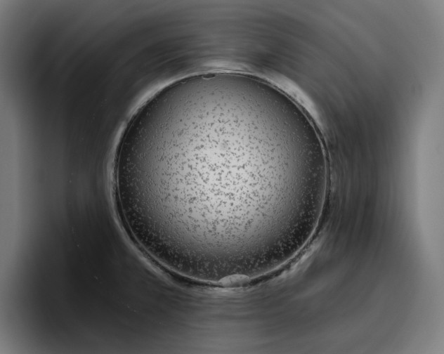 X0000096711381200802191459