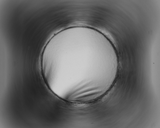 X0000096711382200802191459