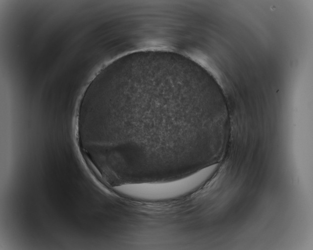 X0000096711383200802191459