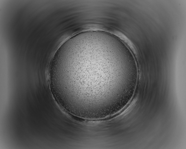 X0000096711385200802191459