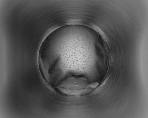 X0000096711386200802191459