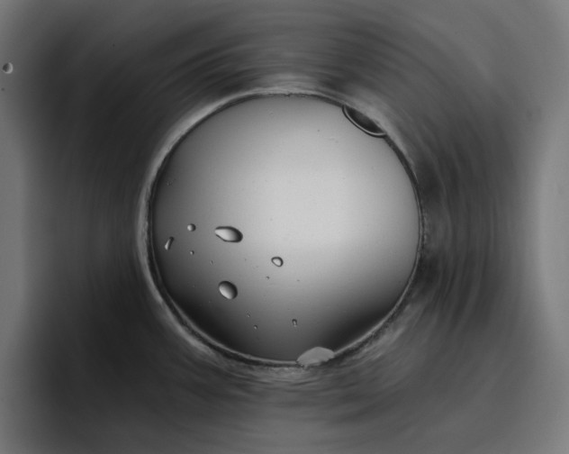 X0000096711387200802191459