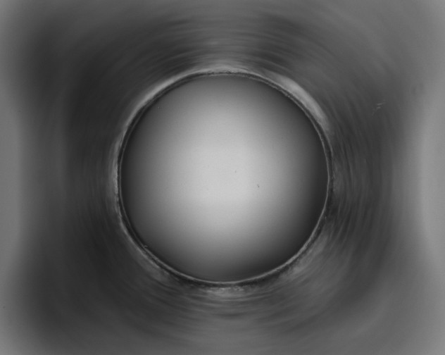 X0000096711388200802191459