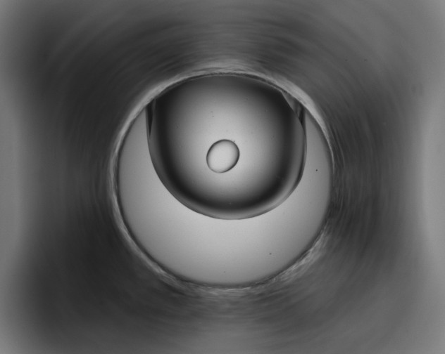 X0000096711389200802191459