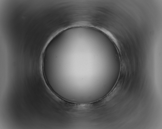 X0000096711390200802191459