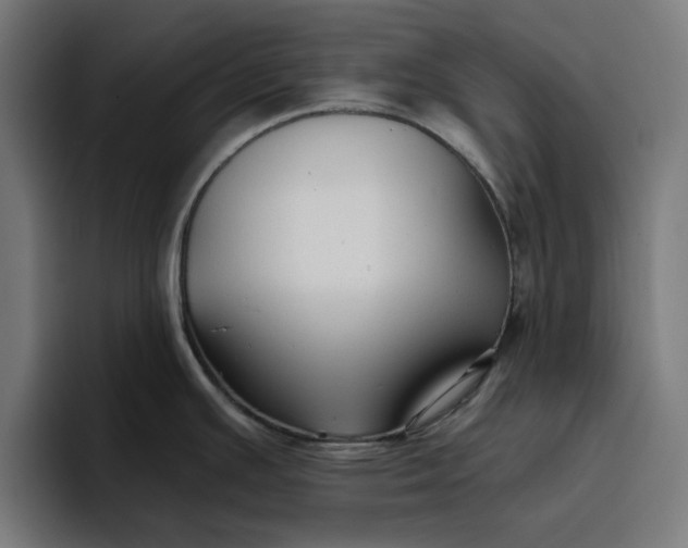 X0000096711391200802191459