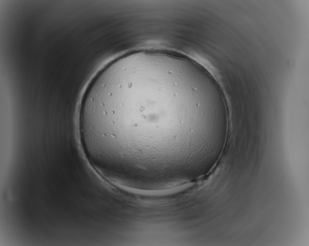 X0000096711392200802191459