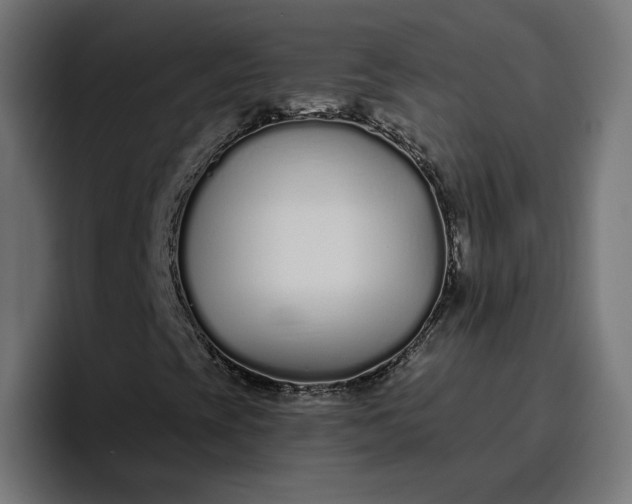 X0000096711393200802191459