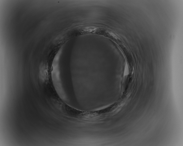 X0000096711394200802191459