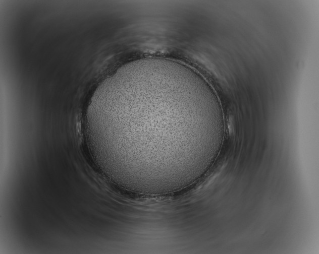 X0000096711396200802191459