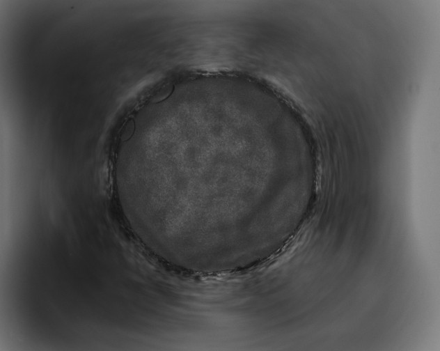 X0000096711398200802191459