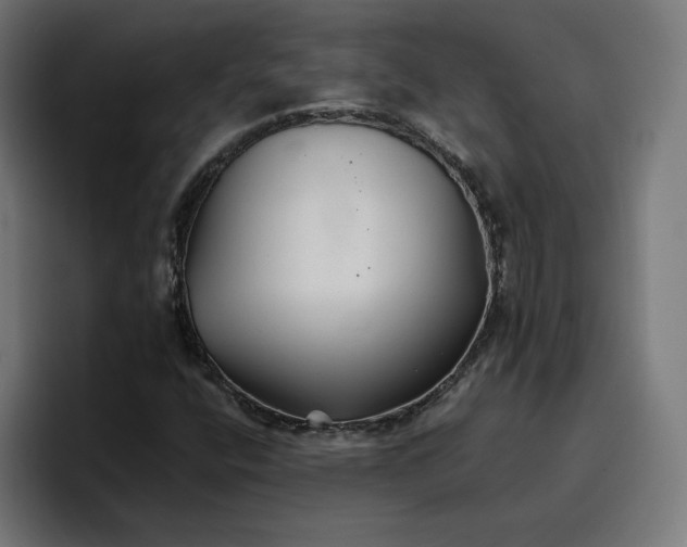 X0000096711400200802191459