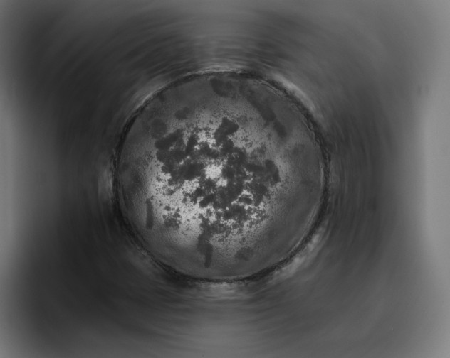 X0000096711401200802191459