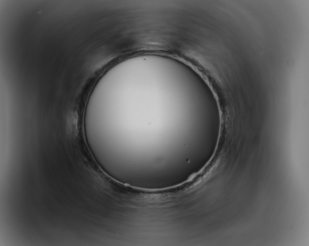 X0000096711402200802191459