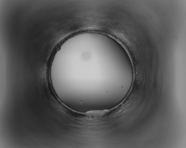 X0000096711404200802191459