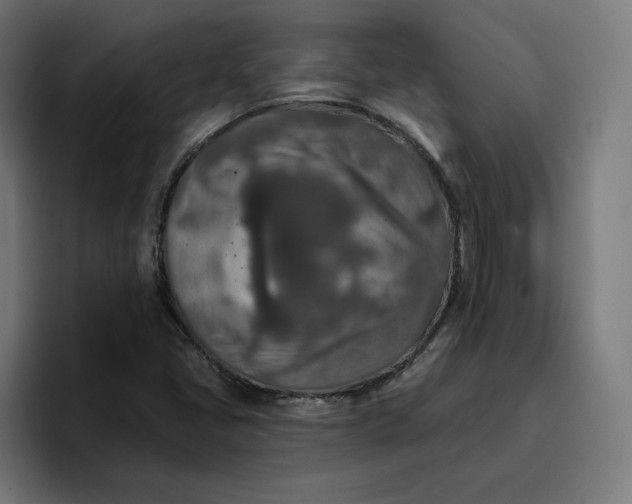 X0000096711405200802191459