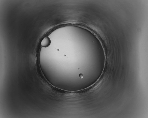 X0000096711406200802191459