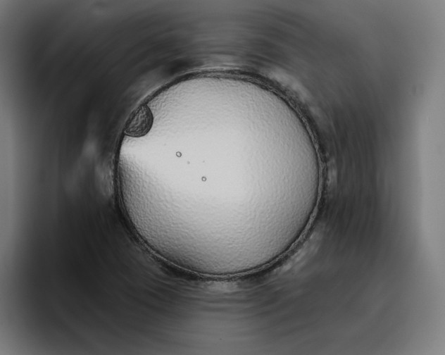 X0000096711409200802191459