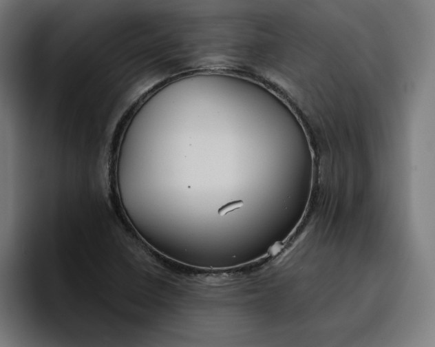 X0000096711410200802191459