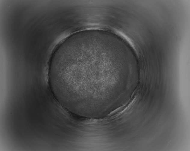 X0000096711411200802191459