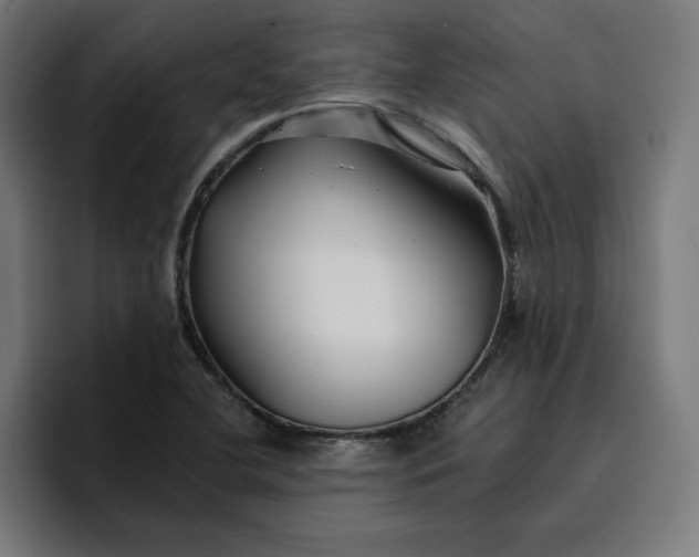 X0000096711412200802191459