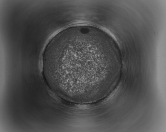 X0000096711413200802191459