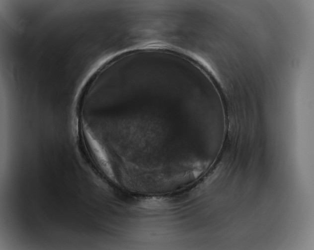 X0000096711414200802191459