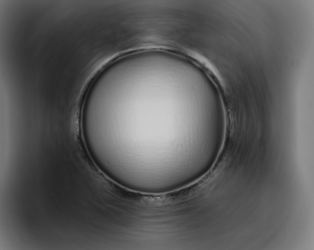 X0000096711415200802191459