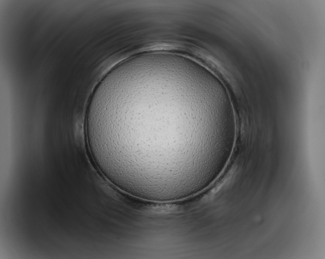 X0000096711417200802191459