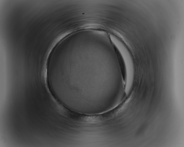 X0000096711418200802191459