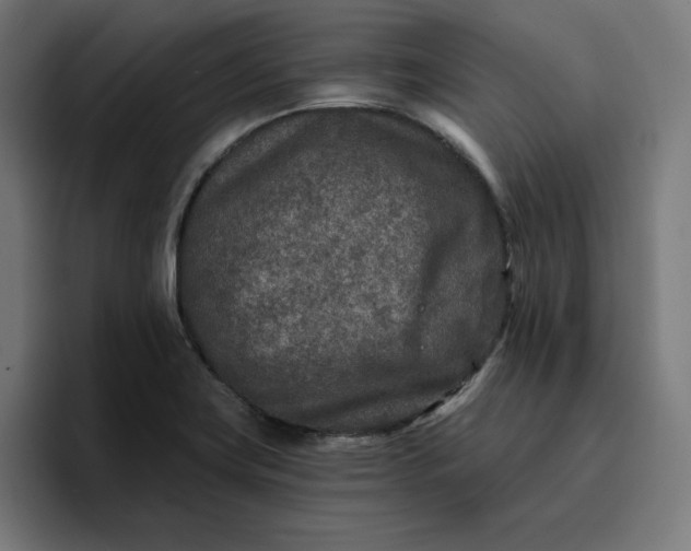 X0000096711419200802191459