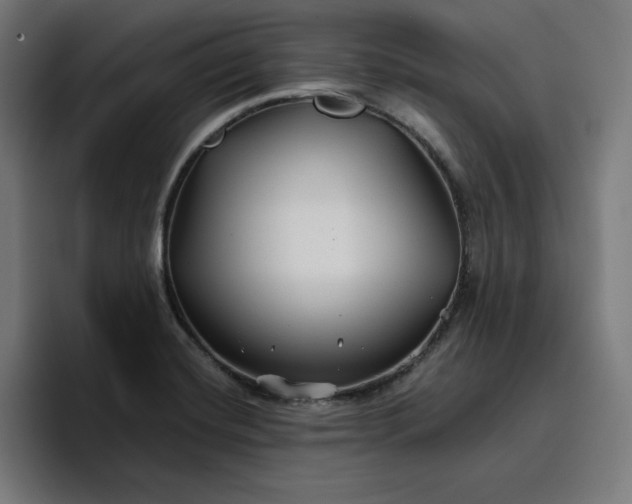 X0000096711420200802191459