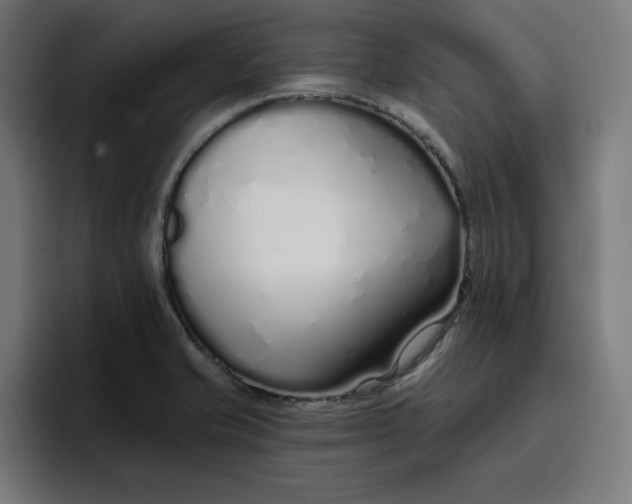 X0000096711421200802191459