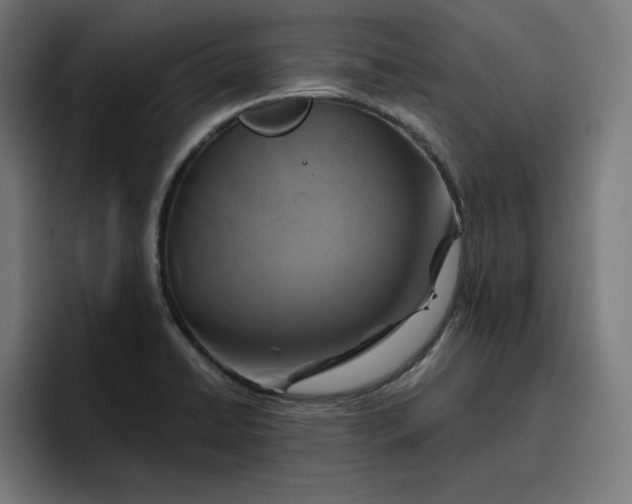 X0000096711422200802191459