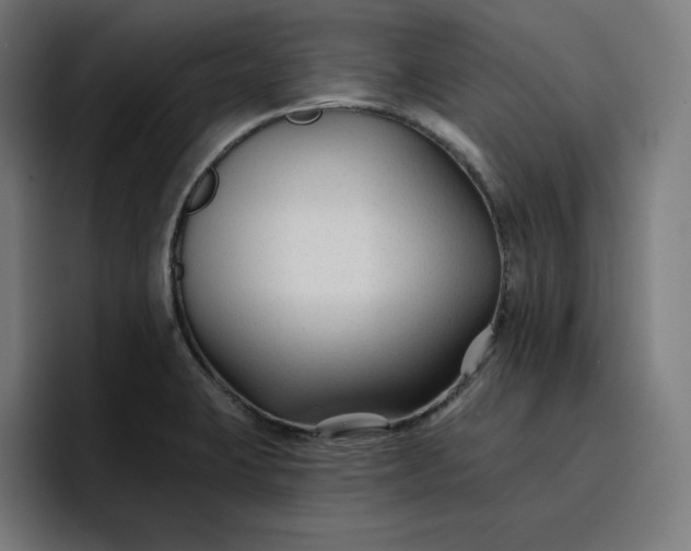 X0000096711423200802191459