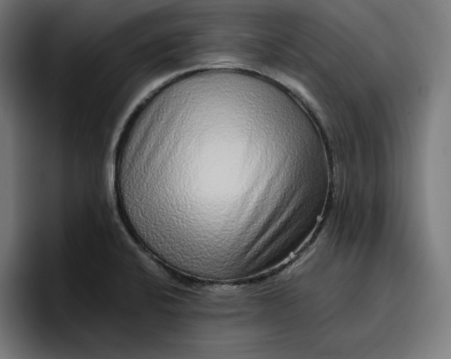 X0000096711424200802191459