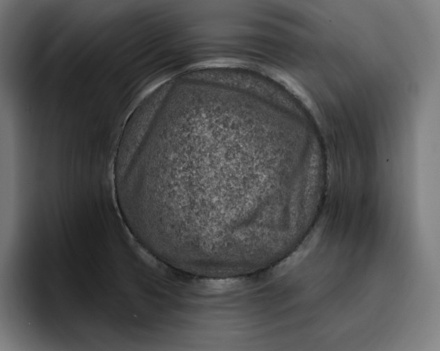 X0000096711425200802191459