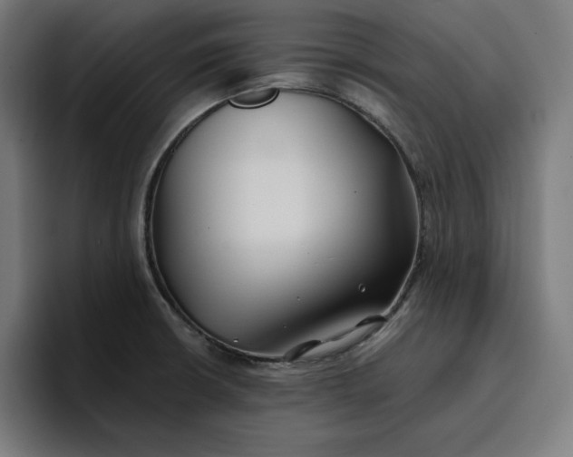 X0000096711426200802191459