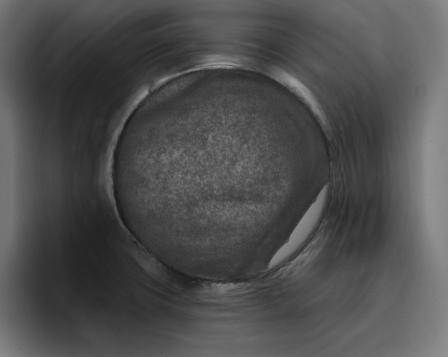 X0000096711427200802191459