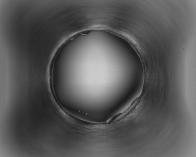 X0000096711430200802191459