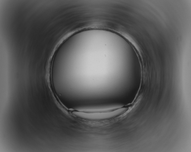 X0000096711437200802191459