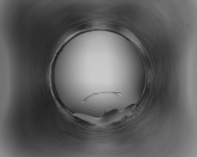 X0000096711439200802191459