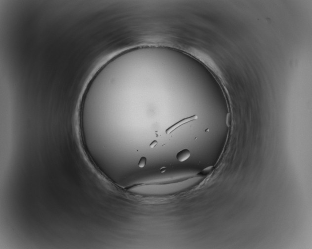 X0000096711440200802191459