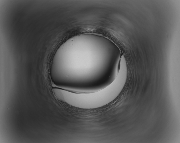 X0000096711441200802191459