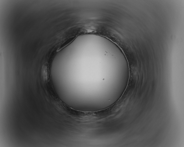 X0000096711442200802191459