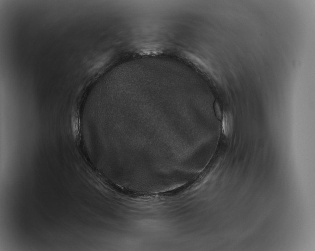 X0000096711444200802191459