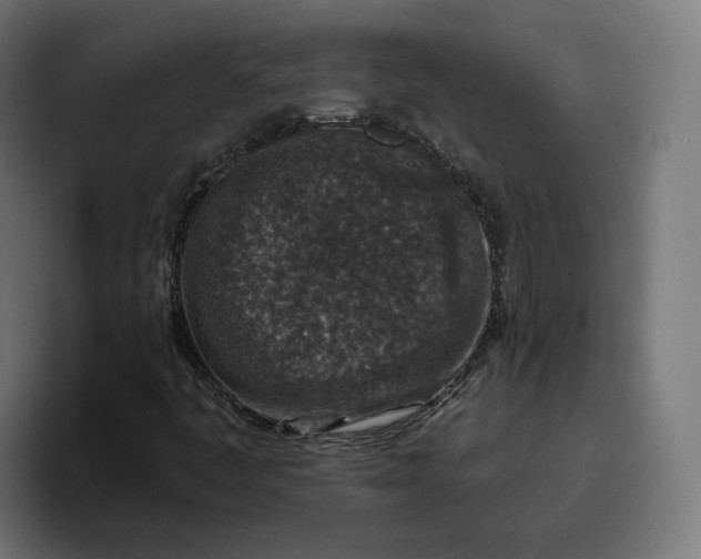 X0000096711445200802191459